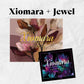 Xiomara Eyeshadow Palette - Limited Restock