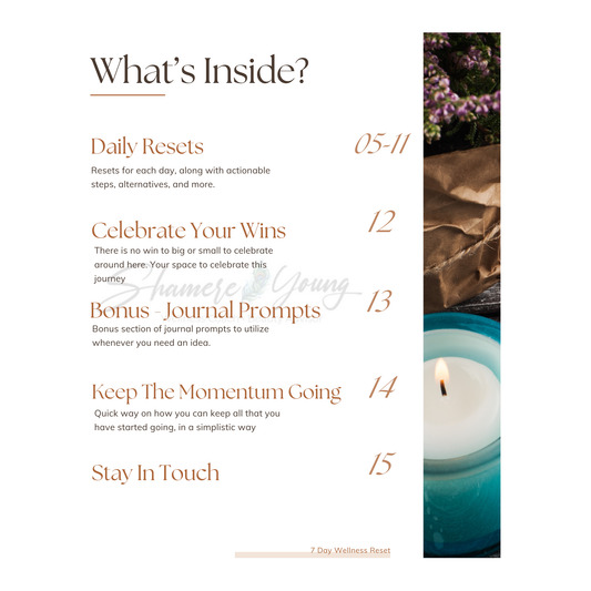 Image of the What's Inside page from the guide. Page lists what the different pages or sections are about within the guide. With shamere young brand watermark. 